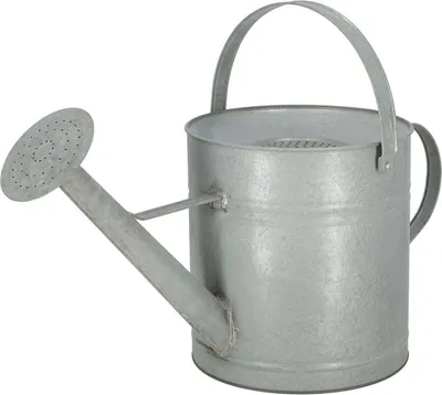 Image de Esschert Design Arrosoir Altzink avec système de récupération d'eau