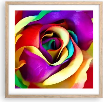 Produktbild von Gerahmtes Poster - Rahmen in heller Eiche - Blume Farbe Rose - 50x50 cm - Wand Bild - Wanddeko - Wandbilder - Kunstposter - Wandposter - Bilderrahmen - Bilder - Kunstdruck - Wandbild - P2NAC50x50-3623