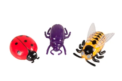 Immagine prodotto di Gatto giocattolo Karlie coccinella, ragno, scarabeo, ape elettrica