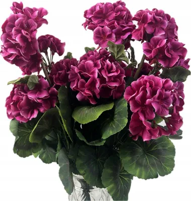 Produktbild von DEKO Künstliche Pelargonie Blumenstrauß Dunkelrosa Wie Lebendig