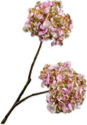 Produktbild von Silk-ka Künstliche Blume – Seidenblume Hortensienzweig creme-rosa 81 cm