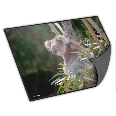 Produktbild von itenga Schreibunterlage Koala 400 x 530 mm