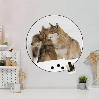 Produktbild von Design Stahlmagnettafel Schwarz Rund 47cm Wölfe