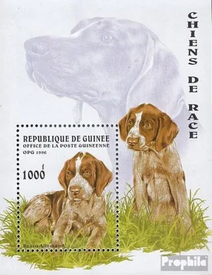 Produktbild von Briefmarken Guinea 1996 Mi Block503 (kompl.Ausg.) postfrisch Hunde
