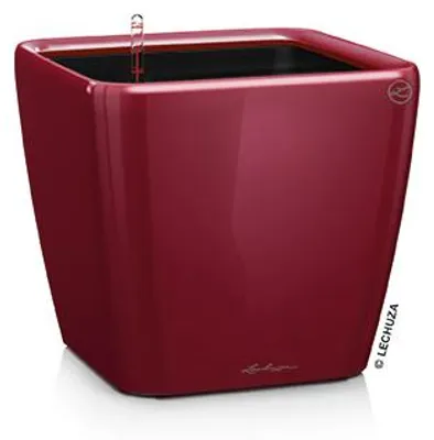 Image de LECHUZA Pot de fleurs QUADRO Premium LS 43 Rouge Scarlet brillant | Pot de fleurs avec système d'arrosage | Surface brillante | 43 x 43 x 39 cm | 16187