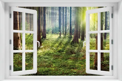 Produktbild von Wallario selbstklebendes Poster mit Fenster-Illusion - Sonnenuntergang im Wald zwischen den Bäumen, Größe: 61 x 91,50 cm