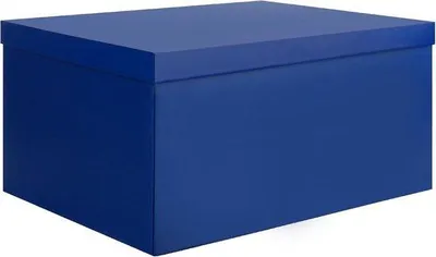 Produktbild von Famanu Aufbewahrungsbox mit Deckel – Groß, Blau, 38 x 28 x 19 cm