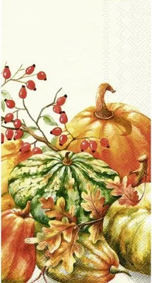Image de Serviettes de table - CALABAZA cream