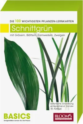 Image de Schnittgrün: Die 100 wichtigsten Pflanzen-Lernkarten