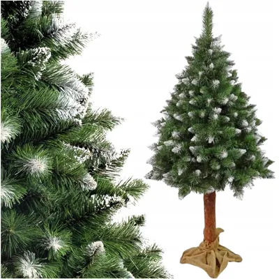 Produktbild von Künstlicher Weihnachtsbaum 150 cm Diamantkiefer mit natürlichem Stamm und 145