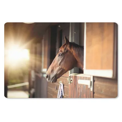 Produktbild von MuchoWow® Schreibtischunterlage Pferd - Stall - Sonne 60x40 cm - XXL Mauspad - Großes Mauspad