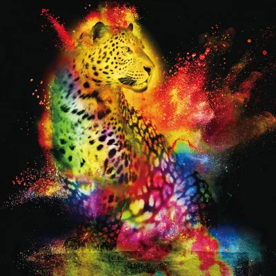 Produktbild von ARTUNIVERSE Glasbilder Leopard im Farbenspiel 80 x 80 cm