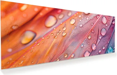 Produktbild von Glasbild 100x40cm in XXL für Wohnzimmer, Schlafzimmer Motiv Wassertropfen auf Federn