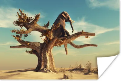 Produktbild von MuchoWow® Poster Elefant - Baum - Natur - Wüste 120x80 cm - Bilder