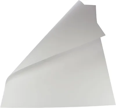 Immagine prodotto di folia 61/25 00 folia cartoncino fotografico, (L)500 x (A)700 mm, 300 g/m², bianco