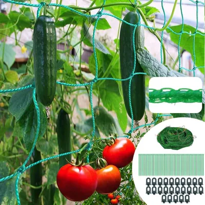 Productafbeelding van Solidchoice - Klimnet voor Planten, 2m x 5m met Clips en Binders