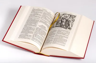 Produktbild von VERLAG: ANACONDA Die Bibel, Lutherübersetzung (illustrierte Geschenkausgabe, Cabra-Leder)