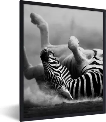 Produktbild von MuchoWow® Gerahmtes Poster Zebra - Tiere - Schwarz - Weiß 60x80 cm - Poster mit Schwarzem Bilderrahmen Wandposter Rahmen Foto Bilder - Premium - Wanddeko Wohnzimmer
