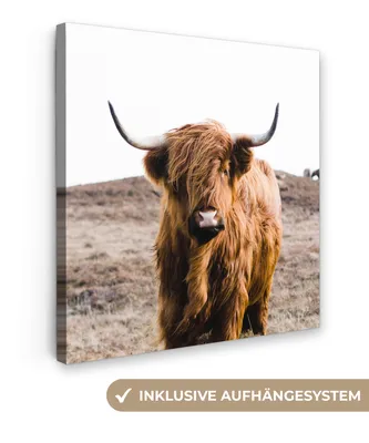 Produktbild von MuchoWow® - Leinwandbilder - Schottische Highlander - Landschaft - Kuh - Braun - Tiere - Natur, Wandbild, Wanddeko Bilder Wohnzimmer, 20x20 cm