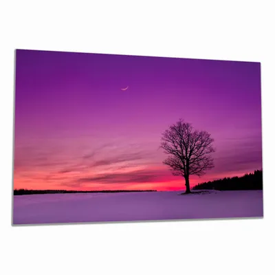 Produktbild von Wallario Herdabdeckplatte aus Glas, Größe 80 x 52 cm 1-teilig, Motiv Mond und Baum am Abend bei Schnee