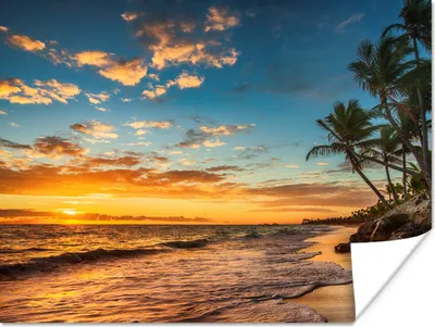 Produktbild von MuchoWow® Poster Strand - Sonnenuntergang - Meer - Palme 160x120 cm - Foto Plakat