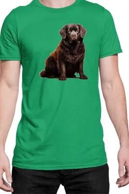 Immagine prodotto di Maglietta da uomo Dogs Breeds Newfoundland Dog Breed 005, Man M , Vert