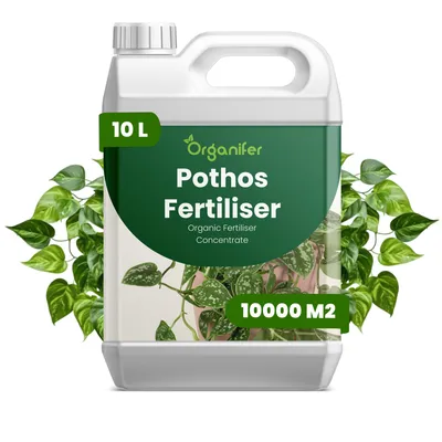 Produktbild von Pothos Flüssigdünger 10L – 2-1-8 NPK – Flüssig-Pflanzendünger für große Zimmerpflanzen, Hängepflanzen & Indoor-Gärten – Organifer