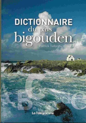 Produktbild von Dictionnaire du pays Bigouden