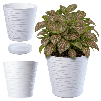 Produktbild von KADAX Blumentopf mit Untersetzer "Greve", Blumenkübel, Pflanztopf aus Kunststoff, Übertopf, rund, 19 cm, Weiß
