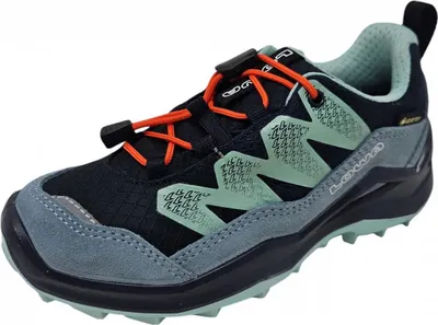 Produktbild von Lowa Maddox Pro GTX Lo Jr. Wanderschuh Blau