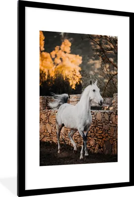 Produktbild von MuchoWow® Gerahmtes Poster Pferd - Weiß - Baum - Sonne 60x90 cm - Poster mit Schwarzem Bilderrahmen Wandposter Rahmen Foto Bilder - Dekoration - Wandposter Wohnzimmer - Hochwertig