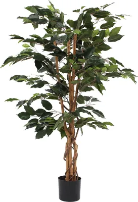 Produktbild von Mica Decorations Ficus Kunstpflanze - H110 x Ø65 cm - Grün