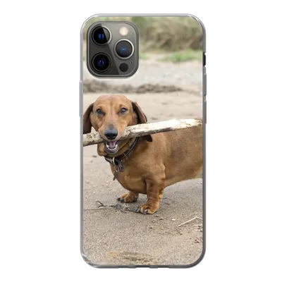 Produktbild von MuchoWow® Handyhülle Schutzhülle Hülle für iPhone 13 Pro Ein schöner Dackel mit einem Stock im Maul Silikon Softcase Handy Hülle - Handy-Tasche