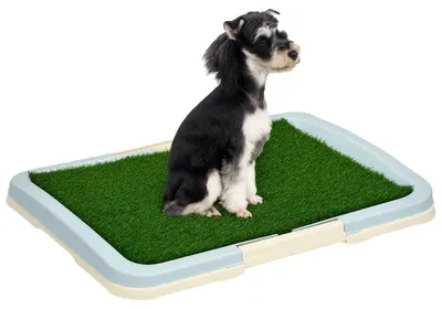 Image de Tapis pour chien, tapis en gazon synthétique, plateau facile à nettoyer, multicolore, 63 x 48,5 x 6 cm