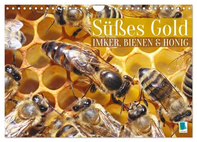 Produktbild von Süßes Gold: Imker, Bienen & Honig (Wandkalender 2027 DIN A4 quer), CALVENDO Monatskalender