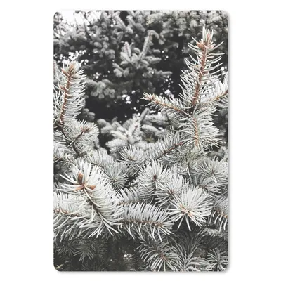 Produktbild von MuchoWow® Mauspad Mousepad Winter - Baum - Äste 18x27 cm - Mousepads - Maus Mat - Pad - Mausunterlage
