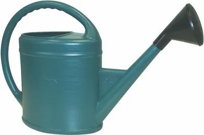 Image de Arrosoir plastique ovale + pomme 6 L