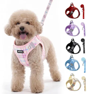 Image de Harnais pour chien avec laisse, réfléchissant, réglable, couleur rose, taille S