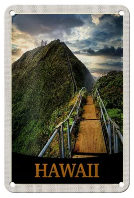 Produktbild von Blechschild Reise 12x18cm Hawaii Insel Strand Palmen Natur Schild