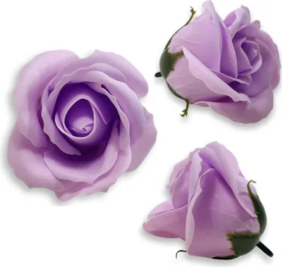 Immagine prodotto di Rosa di sapone viola chiaro