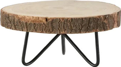A wooden slice table with black metal legs on a white background.