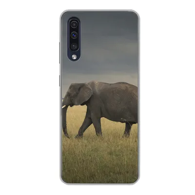 Produktbild von MuchoWow® Handyhülle Schutzhülle Hülle für Samsung Galaxy A50 Elefant - Savanne - Tiere - Natur Silikon Softcase Handy Hülle - Mobiltelefonhülle