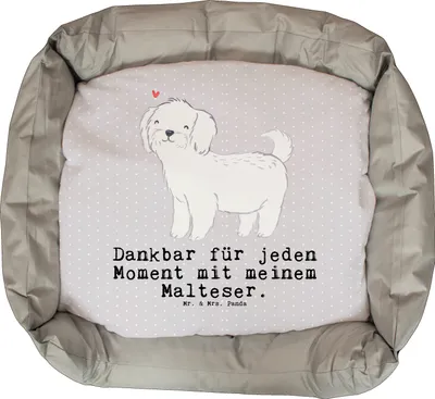 Produktbild von Mr. & Mrs. Panda Hundekissen Malteser Moment - Grau Pastell - Geschenk, Muttertag, Hund, Vatertag, Weihnachten, Geburtstag, Valentinstag