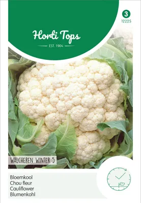 Produktbild von Blumenkohl Walcheren Winter 5 | Blumenkohlsamen von Hortitops