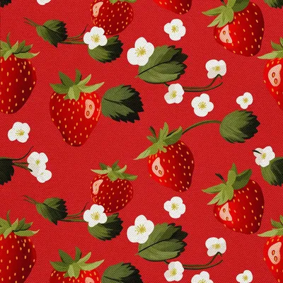Produktbild von OUTDOOR DEKOSTOFFE OXFORD - Motiv Obst | DX6820
