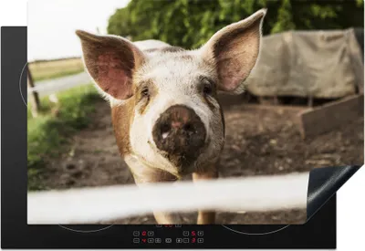 Produktbild von KitchenYeah© Herdabdeckplatte Schwein - Bauernhof - Tier , 76x51cm, Küche Deko, Glaskeramikkochfeld Herdabdeckung, Abdeckplatte fùr Kochfeld