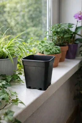 Produktbild von Topf 1 Liter viereckig schwarz - 10,3 x 10,3 x 13,7 cm Pflanztopf Blumentopf Pflanzkübel