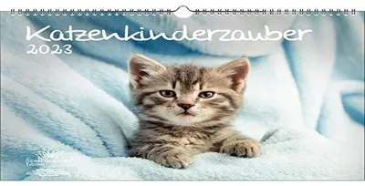 Katzenkindermagie Wandkalender 2023 A3, Katzenbabys, mehrfarbig