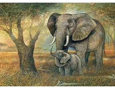 Produktbild von PRACHT CREATIVES HOBBY,KAUFBEU Elefanten 40x30     0