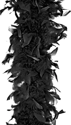 Obrázok produktu pre PartyDeco BOA-025, Boa, Dospelý a dieťa, Akékoľvek pohlavie, Čierna, Tematická oslava, 1800 mm